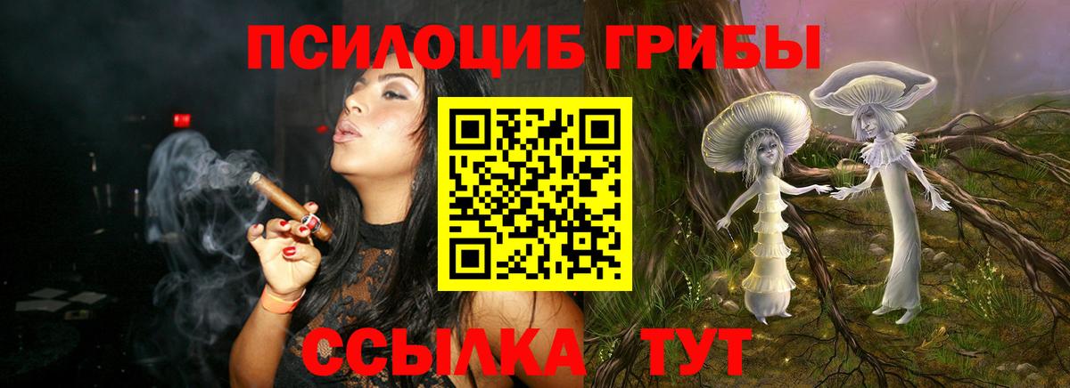 Псилоцибиновые грибы MAGIC MUSHROOMS Ивантеевка