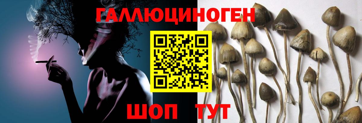 Галлюциногенные грибы ЛСД  Галлюциногенные грибы Magic Shrooms  Ивантеевка  Вход с VPN 